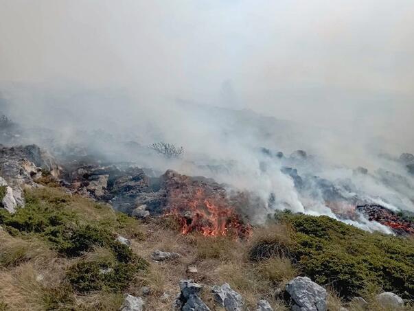 Požar na Bjelašnici eskalirao i silazi u šumu, potrebna intervencija helikoptera