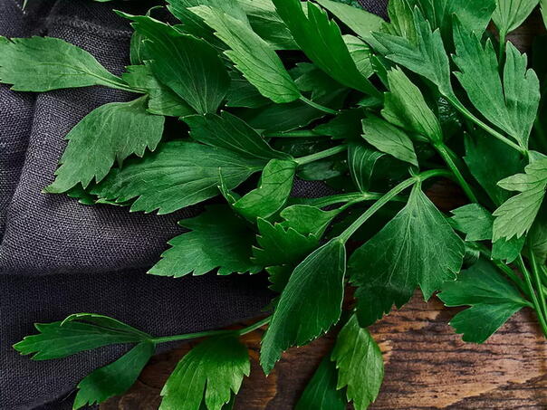 Moćan začin čisti jetru i bubrege, poboljšava probavu i prirodni je afrodizijak