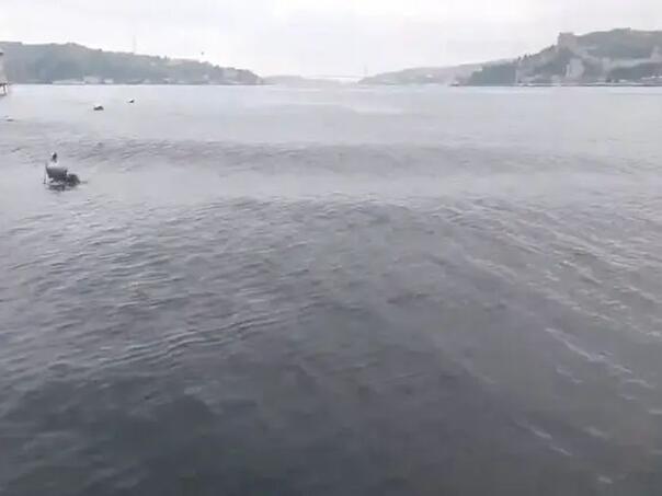 Video: Pogledajte kako je more ‘zaplesalo’ nakon potresa u Turskoj