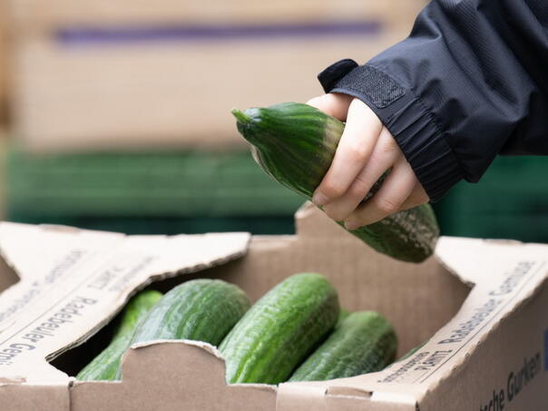 Otrovalo se 50-ak ljudi, raste broj oboljelih: Zbog povrća zavladala epidemija salmonele