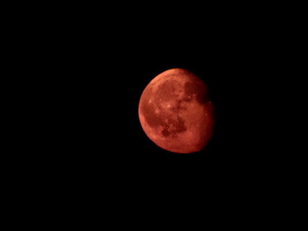 Čak sedam milijardi ljudi će vidjeti “krvavi mjesec” ove godine