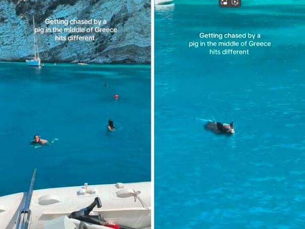 Djevojke uživale u moru, prema njima plivala životinja koju nisu očekivale: “Izađite van!”