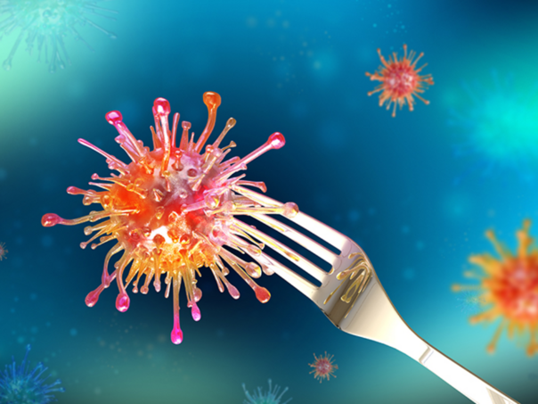 Oprez na putovanju: Hrana koja vam može pokvariti odmor