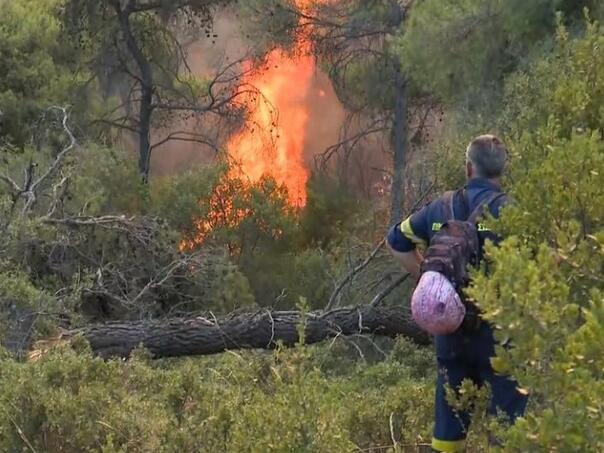 Požari bukte u popularnim turističkim regijama u Grčkoj