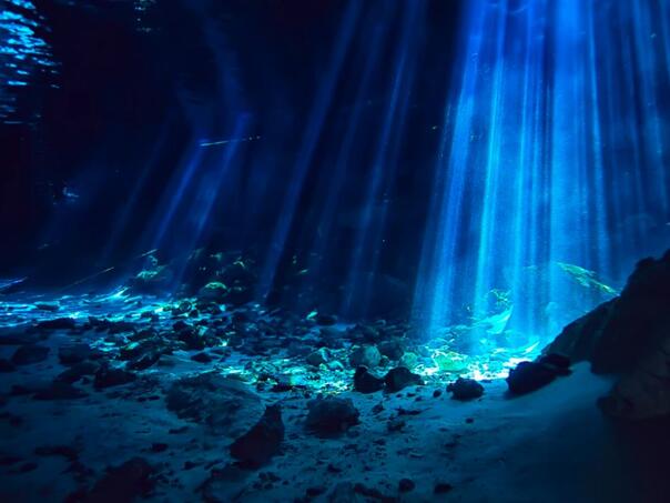 Ronilac preživio pet dana zarobljen u podvodnoj pećini: Hranio se sirovom ribom