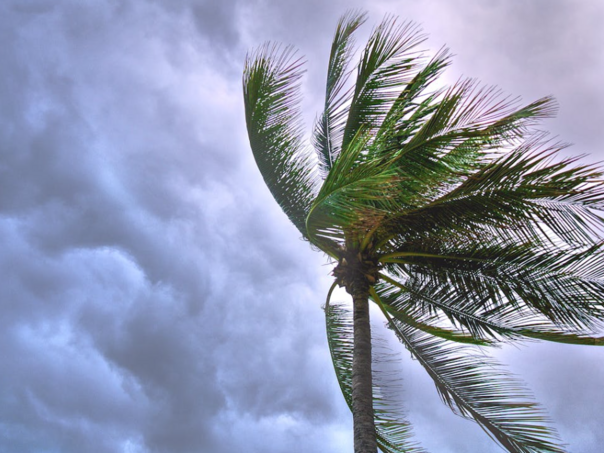 Tropska oluja Dekster se kreće iznad zapadnog Atlantika