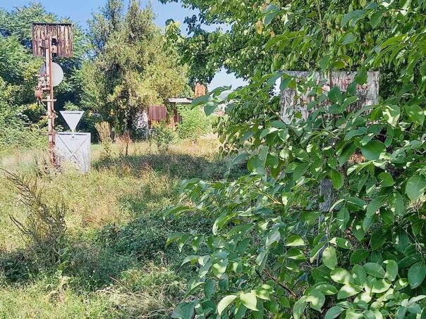 Tuzla već šest godina bez putničkih vozova: Zarasle pruge nova turistička atrakcija?