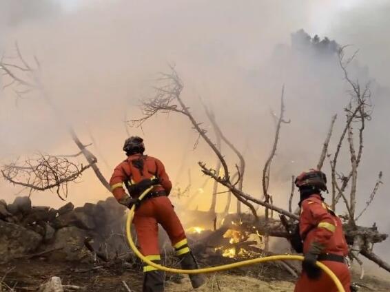 U požarima u Evropi do sada izgorjelo više od milion hektara zemljišta