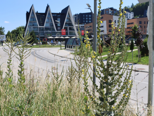 Uvjerili smo se u krah ljetne sezone: Bjelašnica je pusta!