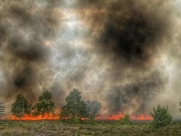 Vojne vježbe uzrokovale stotine požara širom Velike Britanije