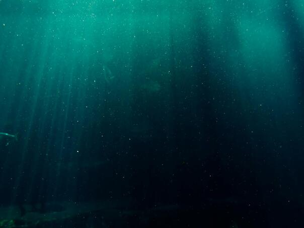 Duboko ispod Atlantskog okeana pronađen ogroman rezervoar slatke vode