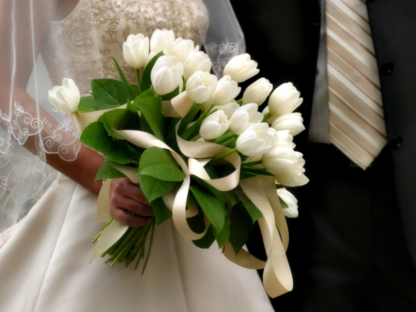 Originalna ideja dolazi iz Hercegovine