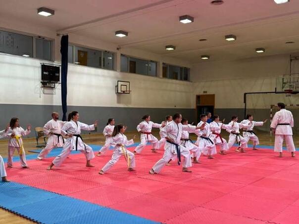 Karate majstori Porobić i Omerdić prenijeli znanje mladim karatistima u Tuzli