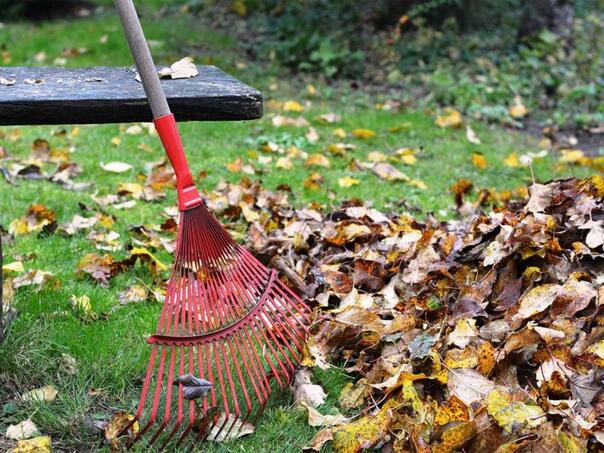 Ove vas greške u Njemačkoj vas mogu koštati i do 50.000 eura