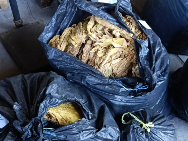 UIO oduzela akciznu robu u vrijednosti око 94.000 KM