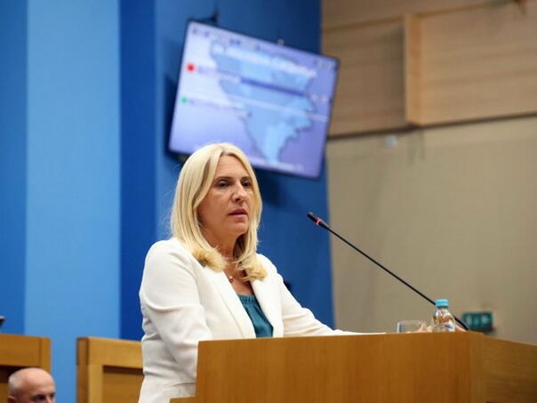 Cvijanović: Dovijamo se, zakone donesemo, pa povučemo po potrebi