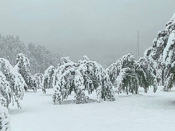 "Januar" u Čajniču: Pogledajte video sniježnog prekrivača
