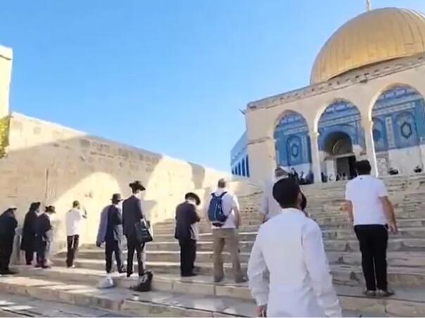Upad izraelskih doseljenika u Al-Aqsu: Izvodili obrede dok ih je štitila vojska